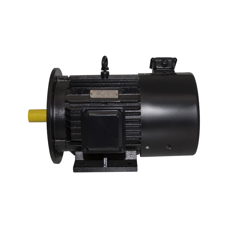 B3/B35 Horizontale invertermotor
